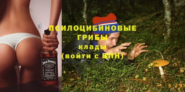 крисы Алзамай