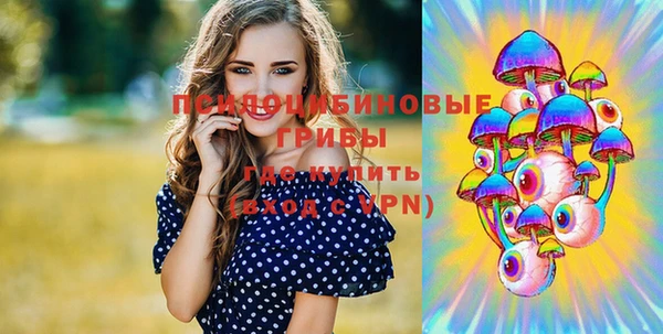 крисы Алзамай