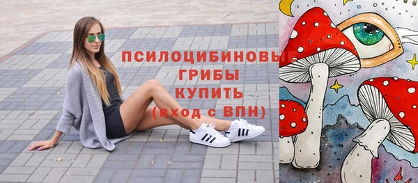 крисы Алзамай