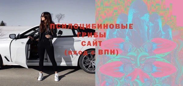 крисы Абдулино